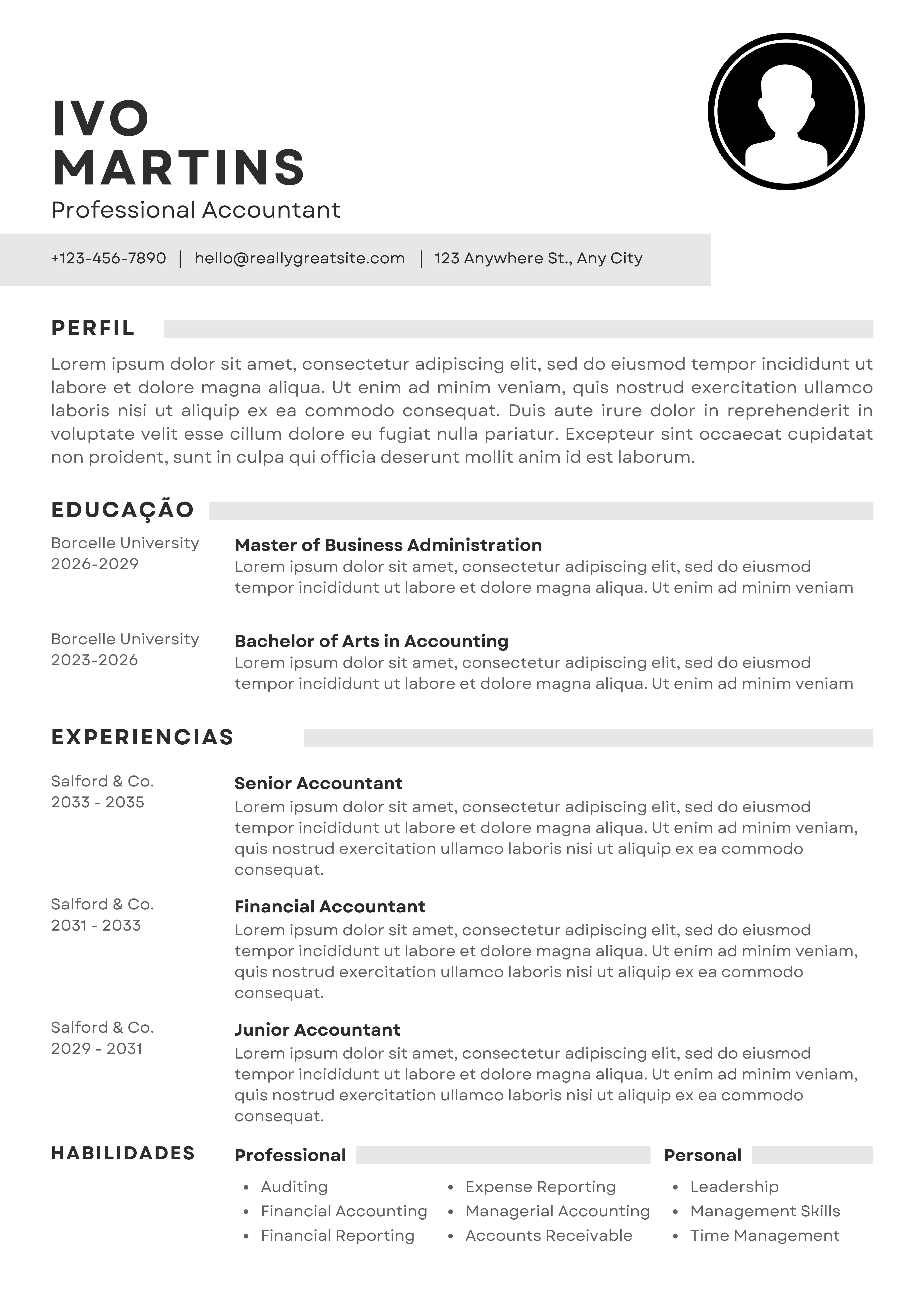 Exemplo do CV modelo 8